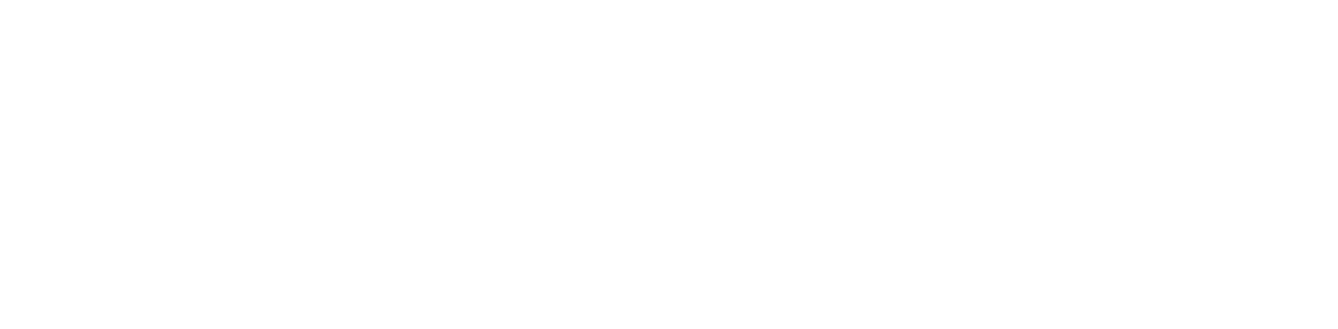 nomadpathway logo